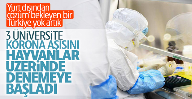 Türkiye'de korona aşısı için hayvan deneyleri başladı