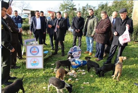 Yalova Armutlu’da sokak hayvanları unutulmadı