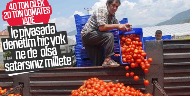 Rusya 21 ton domatesi Türkiye'ye geri gönderdi