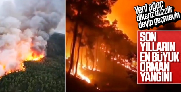 Dalaman'daki yangının boyutu gün ağırınca ortaya çıktı