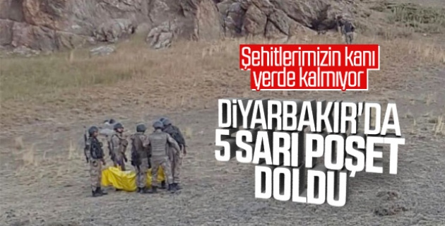 Diyarbakır'da 5 terörist etkisiz hale getirildi