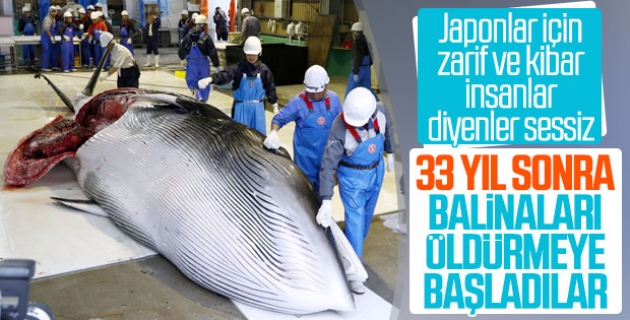 Japonya balina katliamına geri döndü