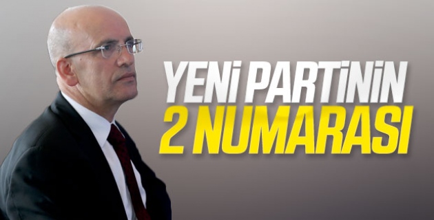 Mehmet Şimşek, Babacan'ın partisiyle siyasete dönüyor