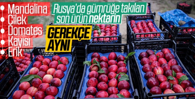 Rusya 20 ton nektarini geri yolladı
