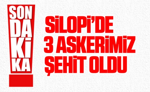 Şırnak'ta terör operasyonu: 3 şehit, 1 yaralı