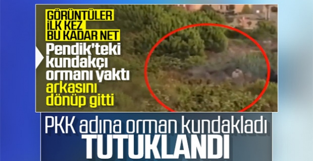 Pendik'teki ormanı kundaklayan zanlı tutuklandı