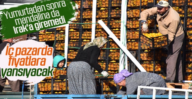 Irak'a mandalina ihracatı da durdu