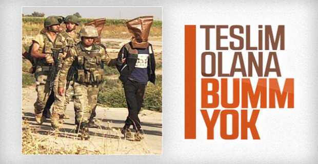 Resulayn'da bir grup terörist sağ ele geçirildi