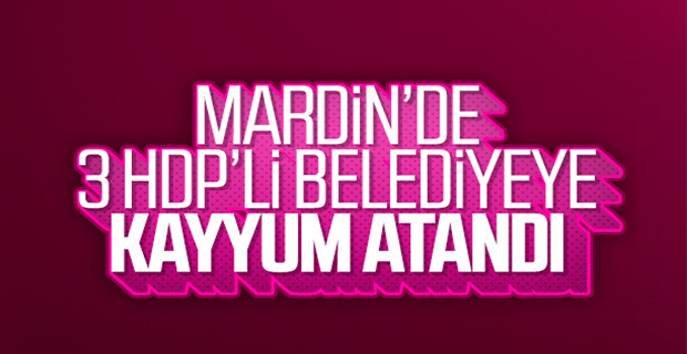 Mardin'de HDP'li 3 belediyeye kayyum atandı