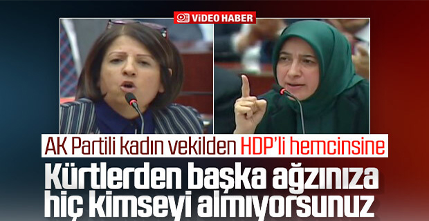 AK Partili ve HDP'li kadın vekillerin tecavüzcü polemiği