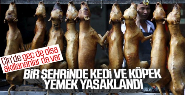 Çin'in Şenzen şehrinde kedi ve köpek yemek yasaklandı