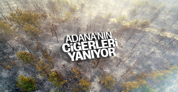 Adana'da orman yangını