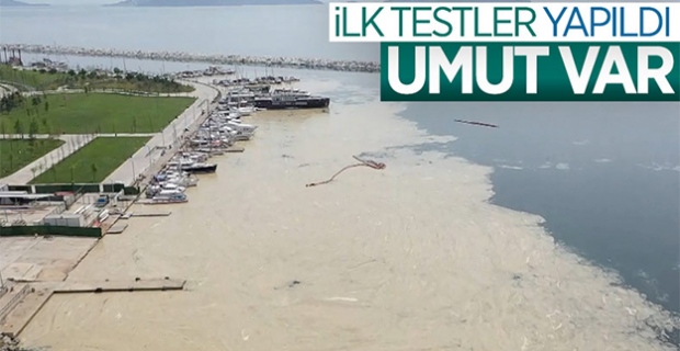 Marmara Denizi'ndeki deniz salyasına, reaktif oksijen yöntemiyle çözüm