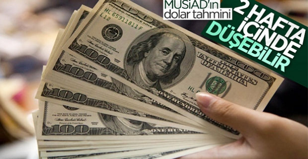 MÜSİAD'dan yıl sonu için dolar tahmini