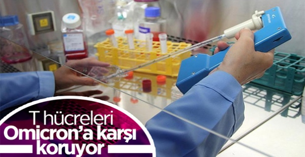 Koronavirüsün Omicron varyantı, T hücrelerini aşmakta zorlanıyor