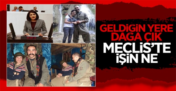 HDP milletvekili Semra Güzel ile öldürülen teröristin samimi pozları
