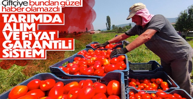 Çiftçilere müjde: Alım ve fiyat garantili sistem yolda