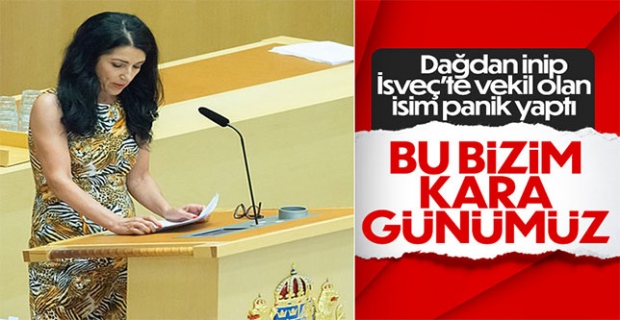 Amineh Kakabaveh, Türkiye ile anlaşan İsveç'e tepki gösterdi