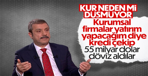 Yatırım kredisi kullanıp 55 milyar dolar döviz aldılar