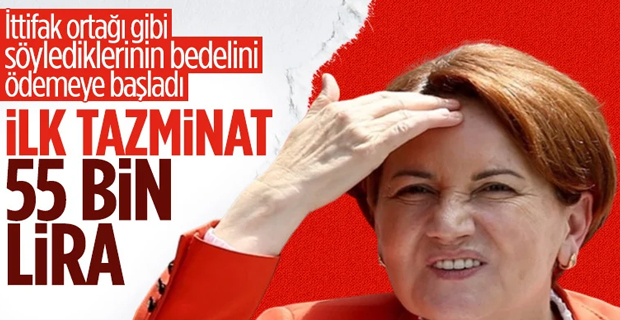 Cumhurbaşkanı Erdoğan, Akşener'den kazandığı tazminatı bağışladı