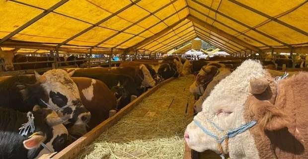 Kurban Bayramı tatili kaç gün olacak?.