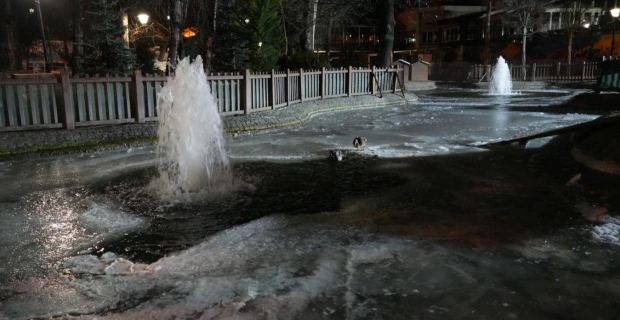 Soğuğu en iyi anlatan kare! Kuğulu Park havuzu dondu