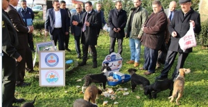 Yalova Armutlu’da sokak hayvanları unutulmadı