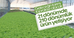 İstanbullu girişimci, topraksız tarımla 21 dönümde 210 dönüme denk ürün yetiştiriyor
