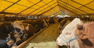 Kurban Bayramı tatili kaç gün olacak?.
