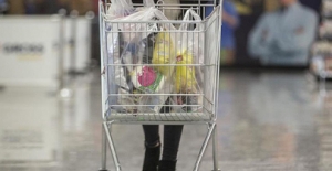 Market alışverişlerinde...